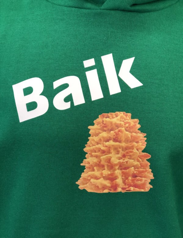 Džemperis su gobtuvu "Baik šakotis" - Image 4