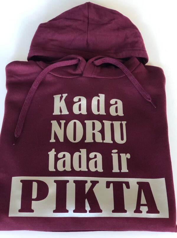 Džemperis su gobtuvu "Kada noriu, tada ir pikta"
